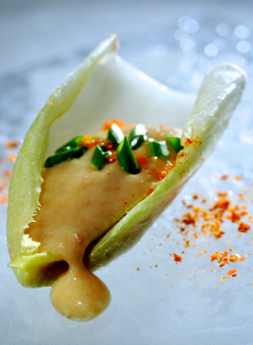 Witlof met bruine bonenpuree